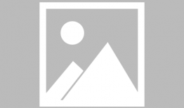 鲤鱼打挺视频,揭秘传统武术中的柔韧与力量之美