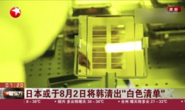 东京黄色视频,揭秘都市夜生活背后的暗流涌动